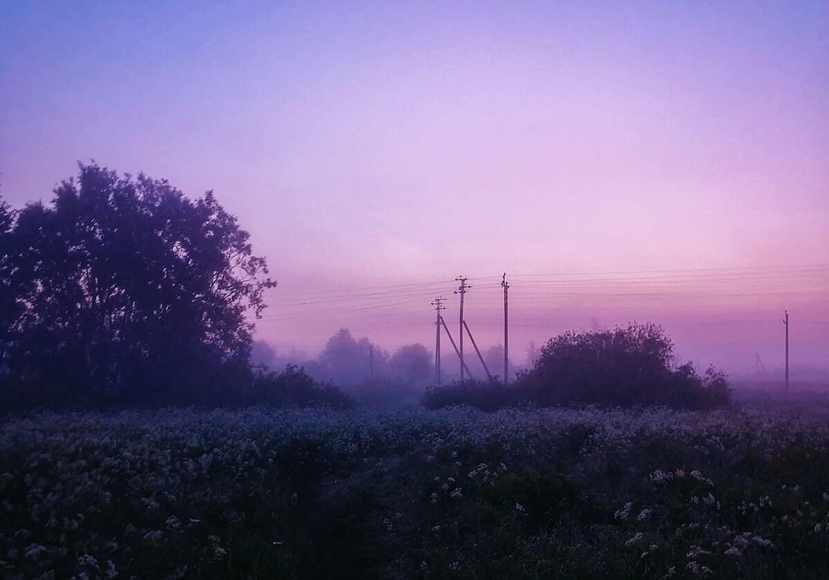 赛事走势-博拉尼奥斯返回厄瓜多尔 未来能否留申花还未知